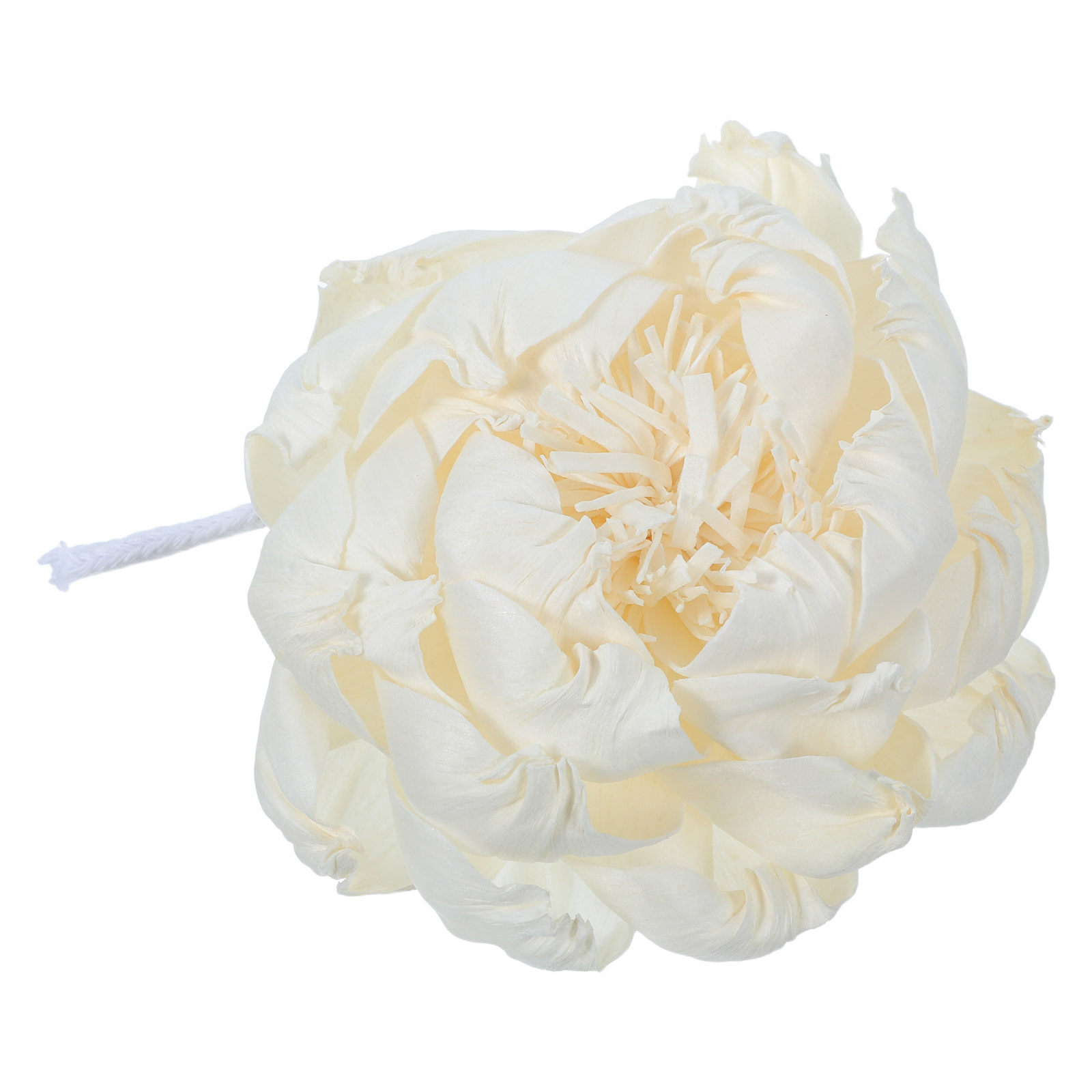 Peony Head Fragrance Diffuser  - Home Fragrance Oil 评论和价格
