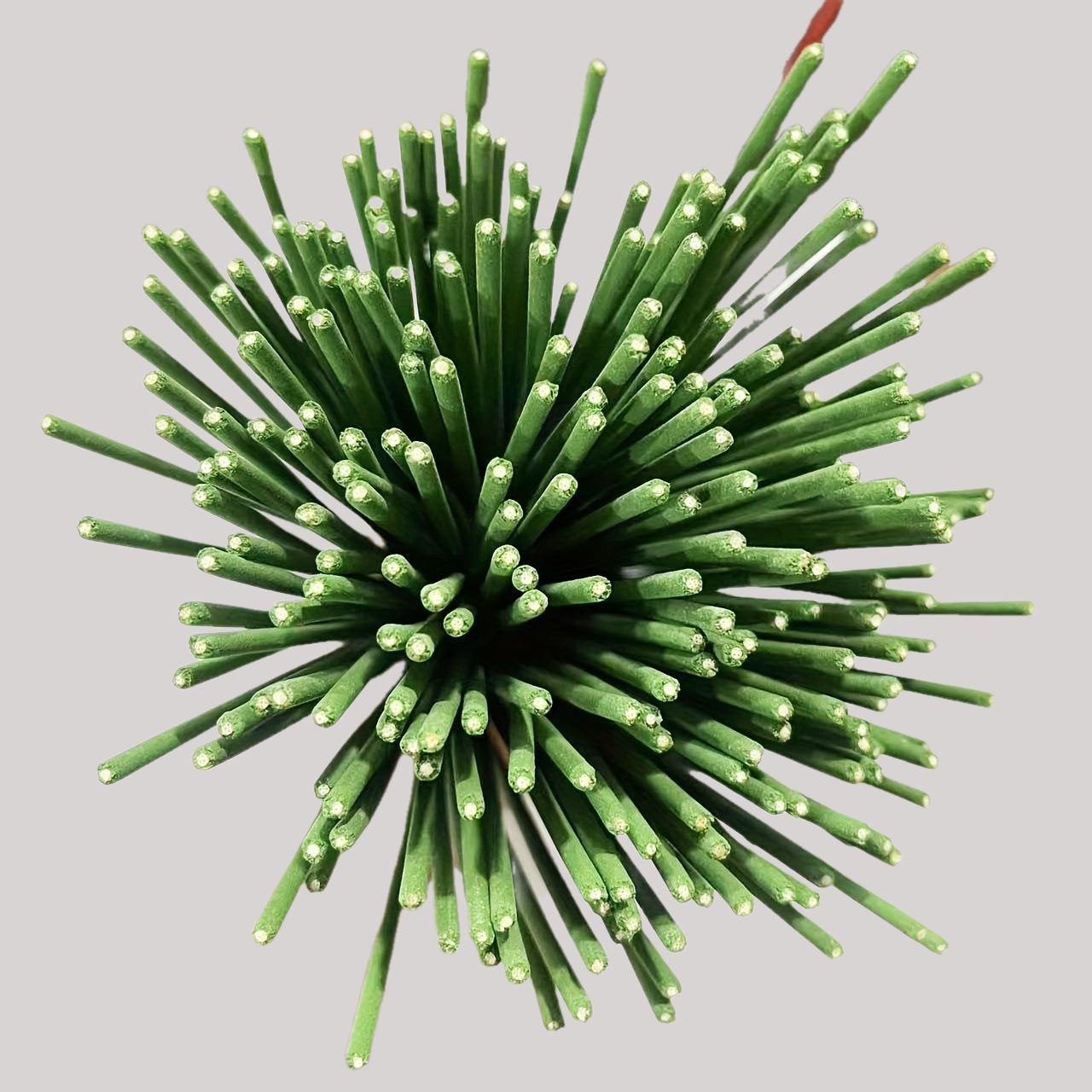 Reed Diffuser Sticks Lemongras - Home Fragrance Diffuser Sticks 评论和价格