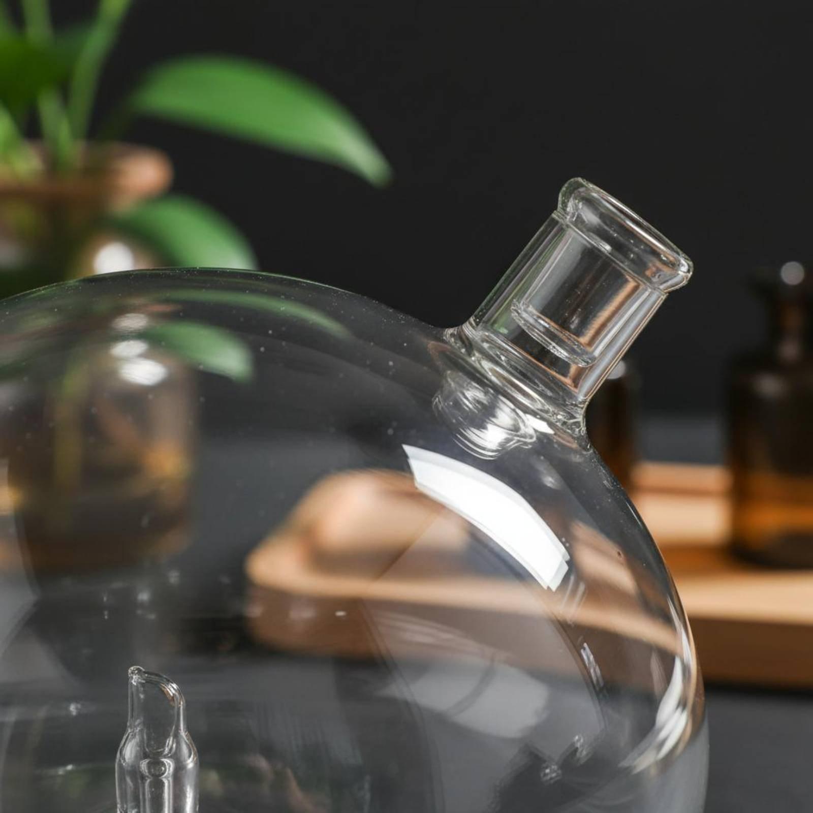 Diffuser Bottle Universal Fit  - Home Fragrance Diffuser 评论和价格